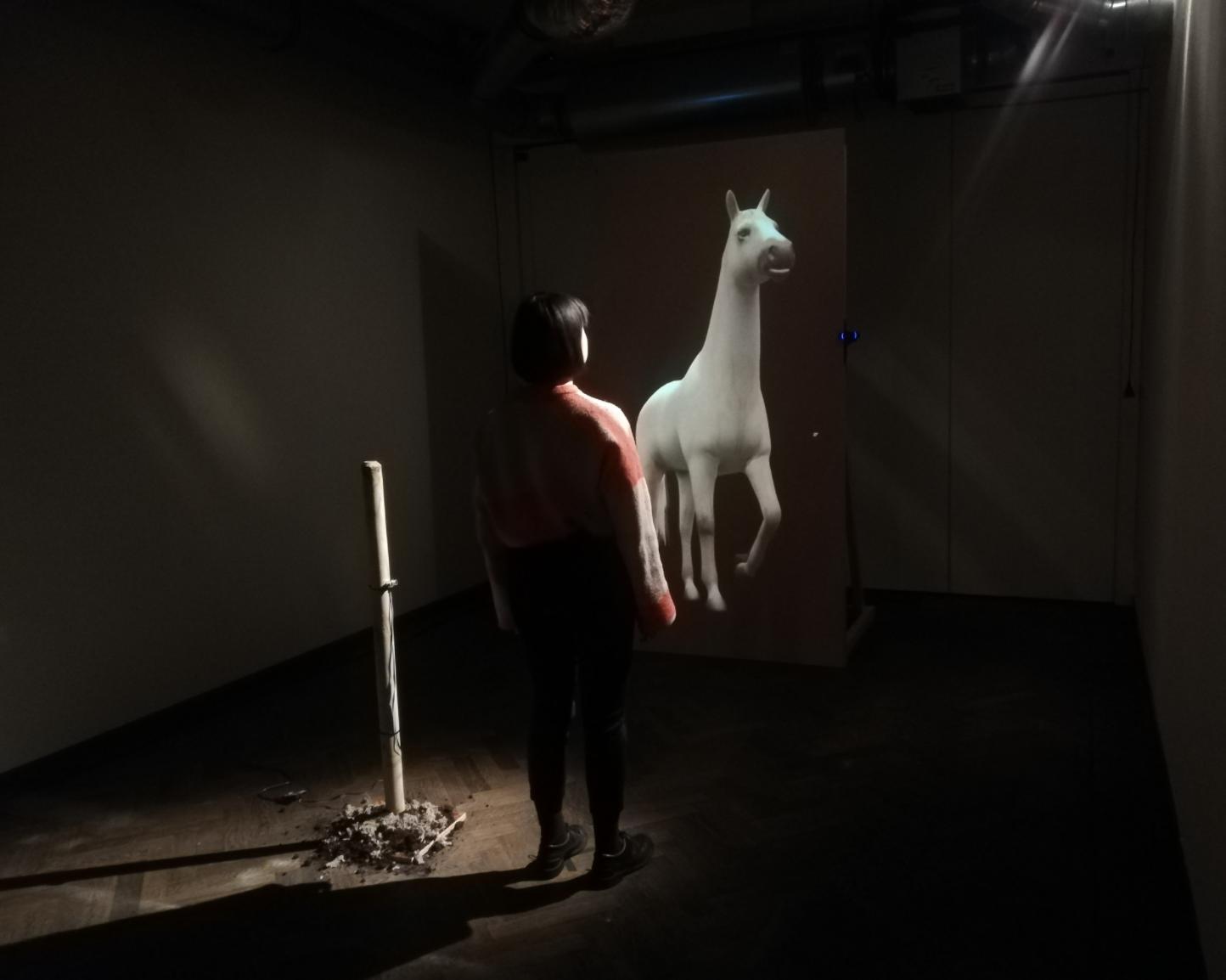 A photograph from Team Three of a person stading in front of a projected image of a white horse