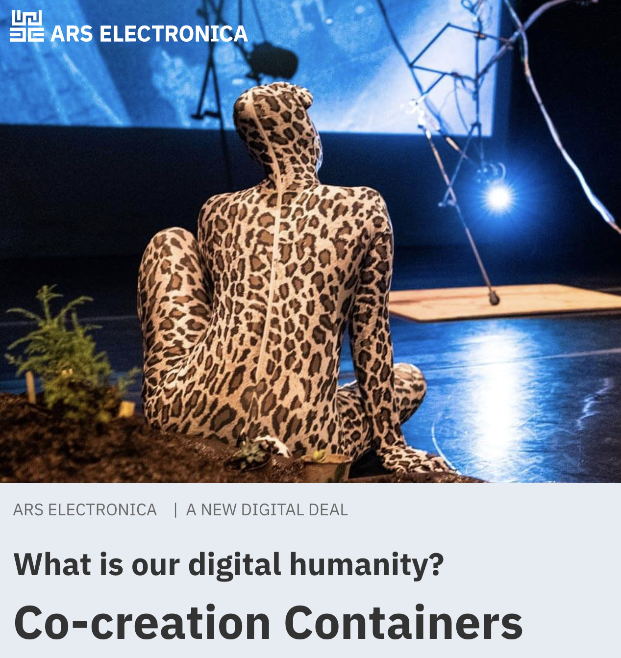 Co-creation Containers image featuring a woman in a leapord-print cat costume on a theater stage
