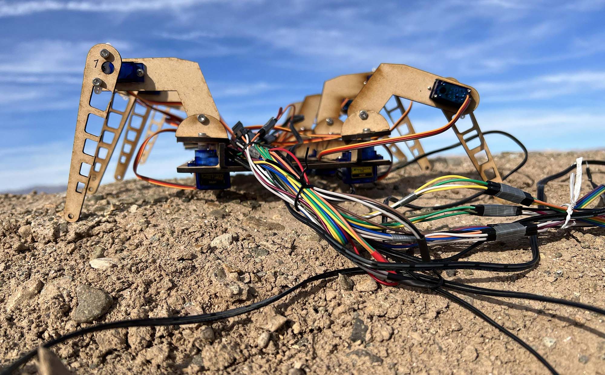 A spider-like robot on a small sand hill, made of laser cut wooden shapes with wires and circuits exposed