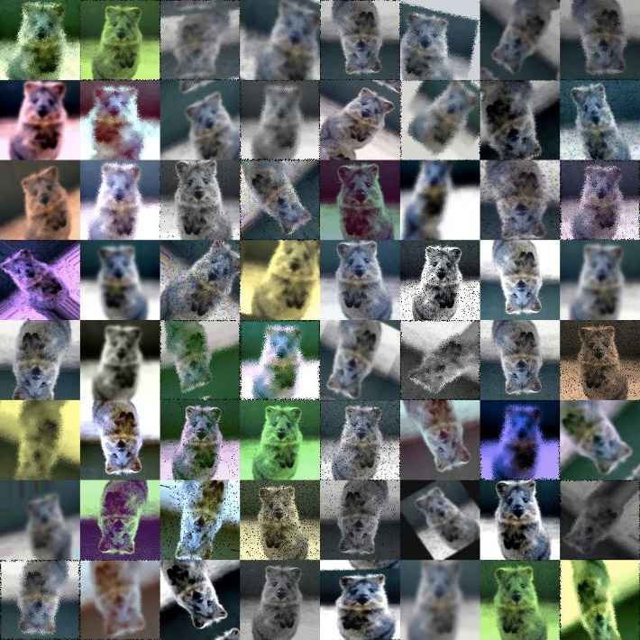 An 8 by 8 grid of images of a mammal, each image varied by color, position and orientation