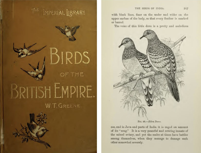 Cover of the book “Birds of teh britosh Empire”