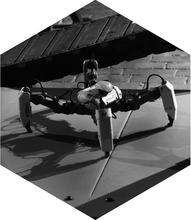 A small spider-like robot in black and white